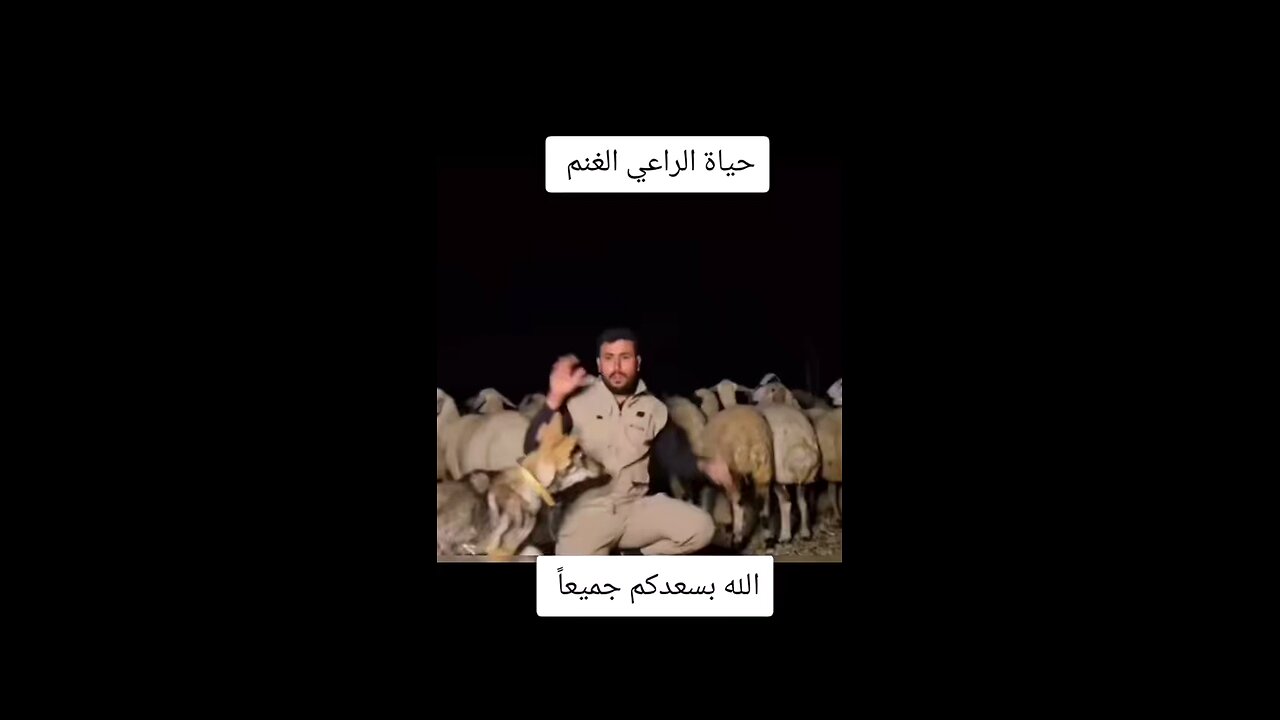 yassef12