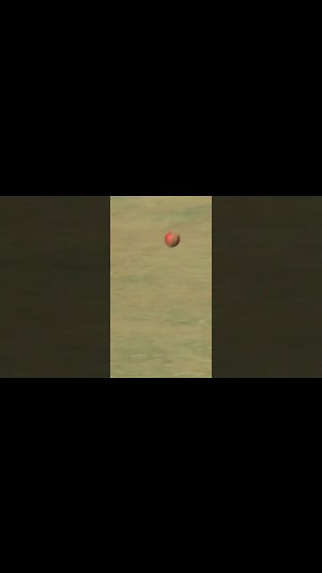 @cricketcomau @nsjtv