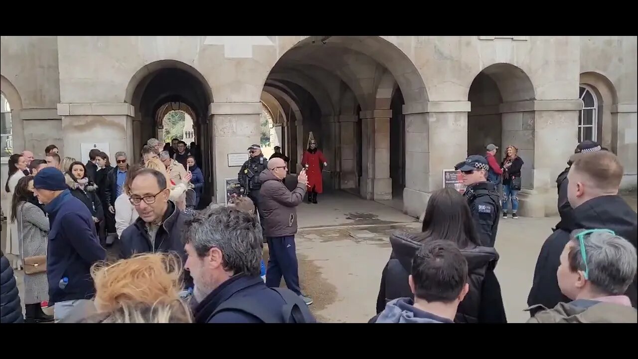 Stand right in the way mate #horseguardsparade