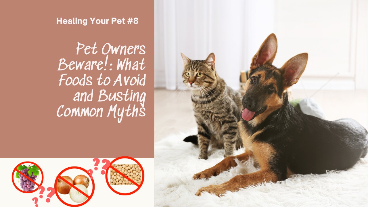 Pet Owners Beware!: What Foods to Avoid and Busting Common Myths