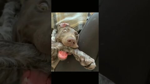 Oh yes. I'm quite delicious.