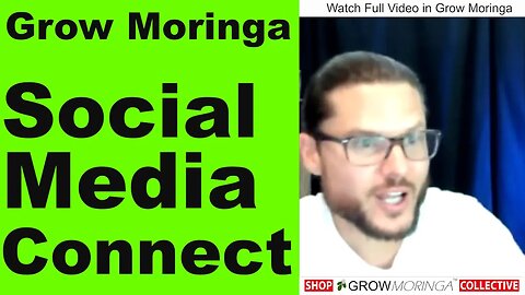 Grow Moringa on Other People's Properties | Find Growers and Harvest Their Trees | Urban Food Supply