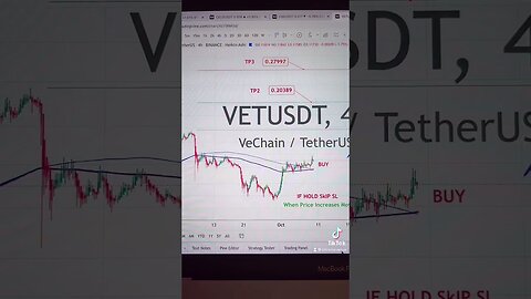 VET USDT Price Analysis Today (10-10-2024)- Buy VeChain #VET #makemoney #crypto #bitcoin #trading