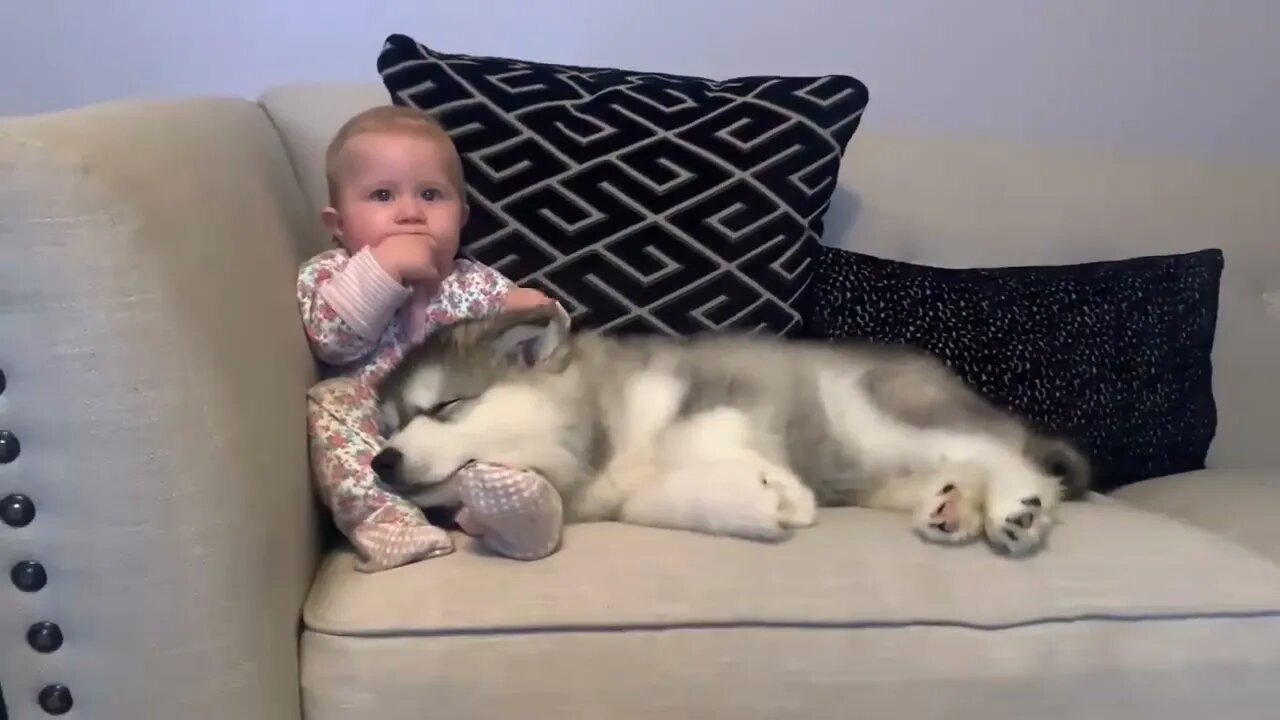 Baby And Puppy Growing Up Together!