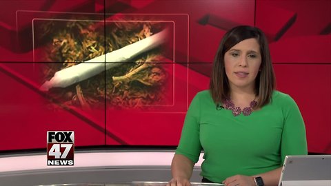 Lansing chamber offers guidance to employers about marijuana use