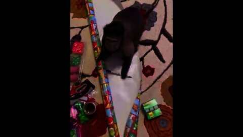 Present Wrapping!!!! Come wrap presents with me!!!!