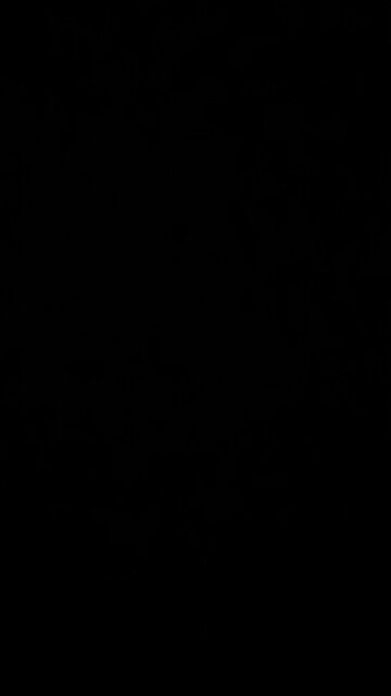 Work until you die mentality