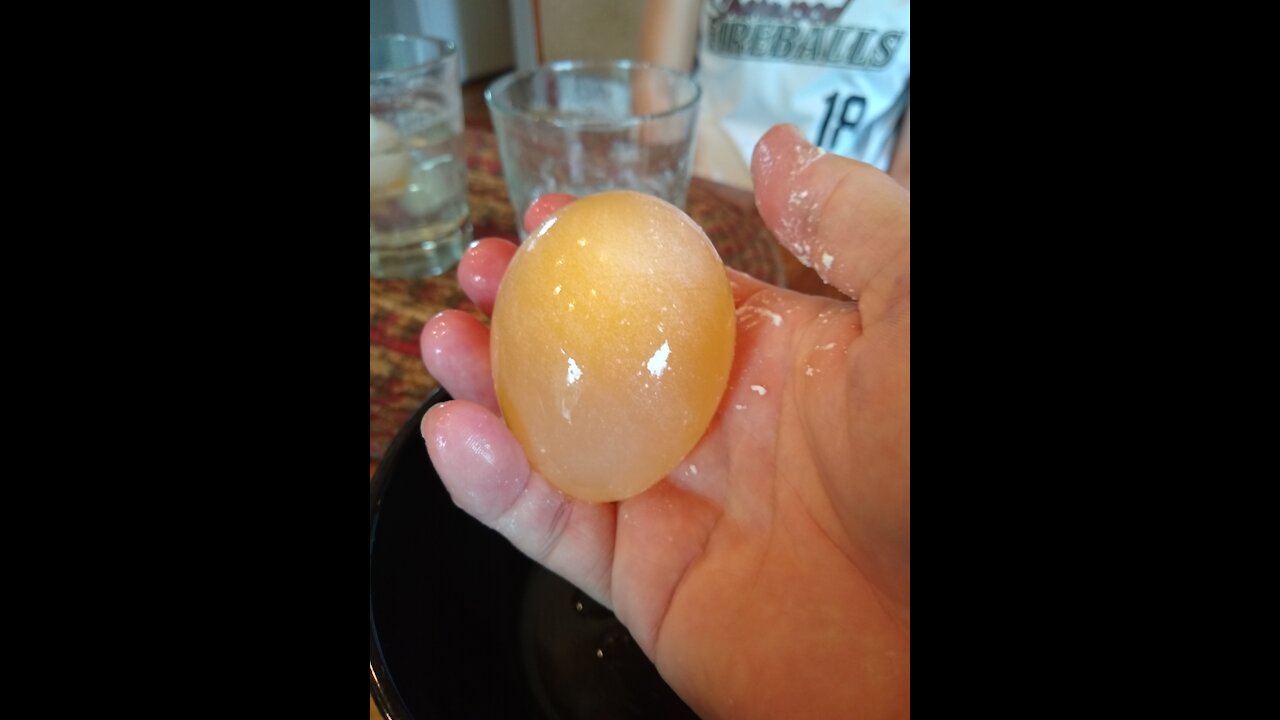 Egg in vinegar