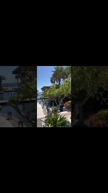 San Jose del Cabo. #omg