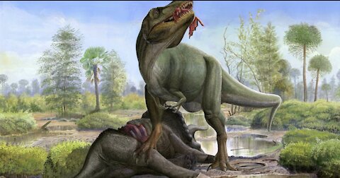 National geographic - T Rex (Tyrannosaurus Rex) - Documentary