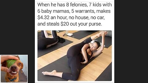 Memes That Will 99.0015% Make You Laugh. (e239)