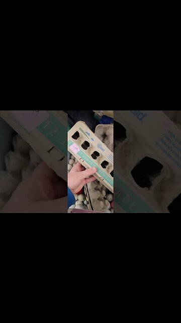 EXPENSIVE Eggs at Local Thrift Store #shorts