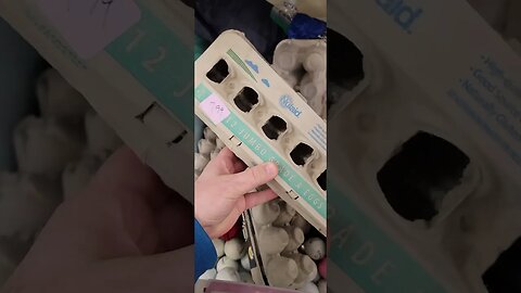 EXPENSIVE Eggs at Local Thrift Store #shorts