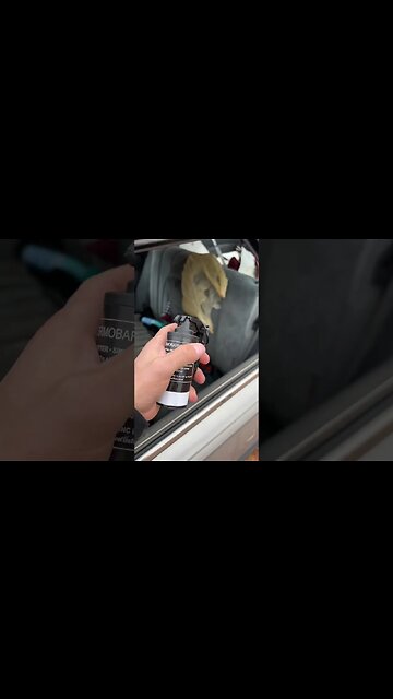 M13 Flashbang Vs Car