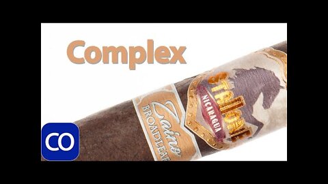 Stallone Zaino Toro Cigar Review