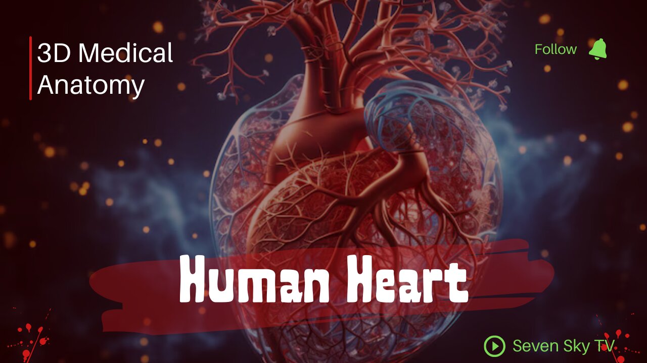 The Anatomy of the Human Heart: A Visual Guide | 3D Video Anatomy