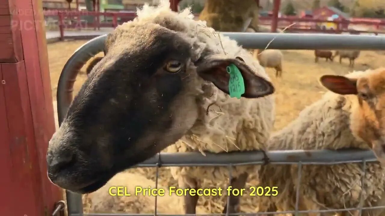 Celsius Price Prediction 2023, 2025, 2030 Is CEL a good investment