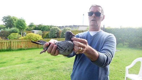 Eight more young birds Gifted to me by my good friend Tam McLeod Tranent.