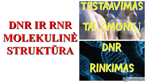 TESTAI TAI ŽMOGAUS DNR RIKIMAS