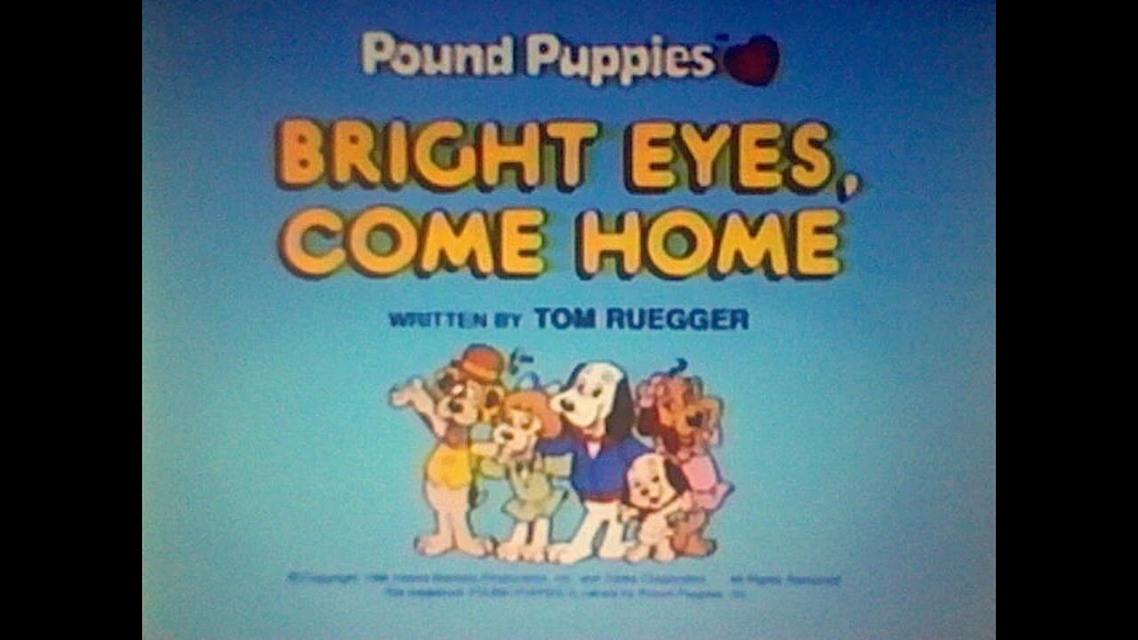 Pound Puppies ( Bright Eyes, Come Home ) Full Cartoon 1986