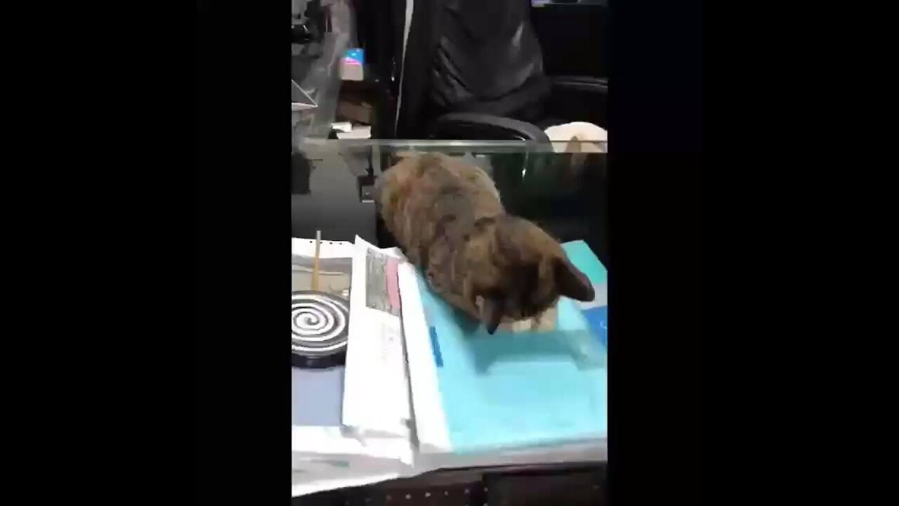 Don't Disturb Me