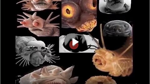 The Demonic Parasite Presentation-Biblical links| Kim Paddock