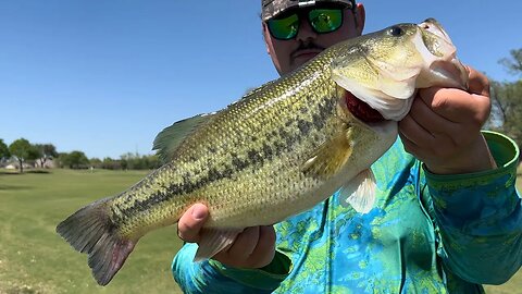 Old Faithful Saved The Day! (GIANT BASS)