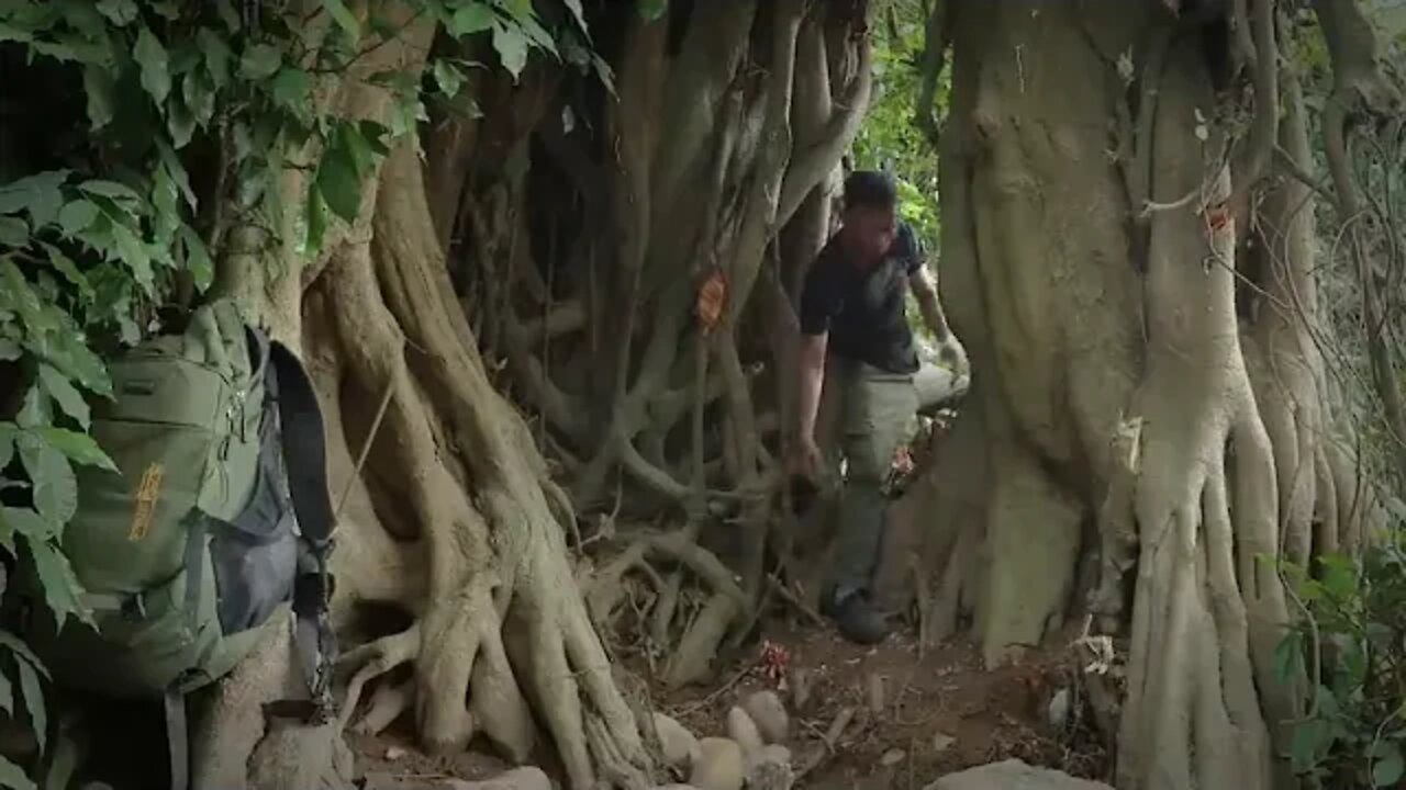 Building Complete and Warm Survival Shelter In The Trunk , Fireplace With Clay , Crab Trap and Cook
