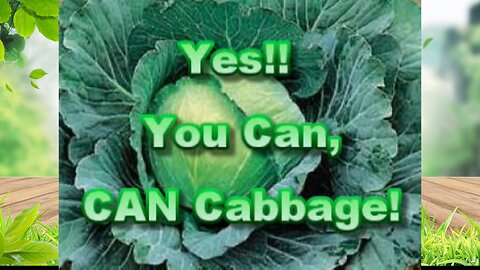 Canning Cabbage