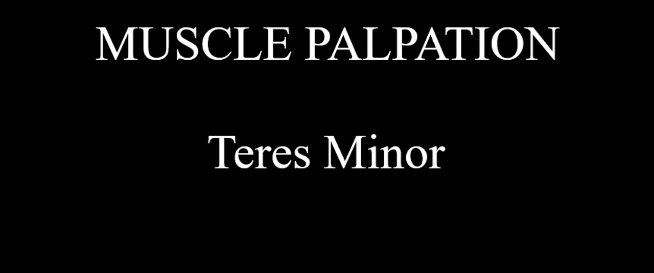 Muscle Palpation - Teres Minor