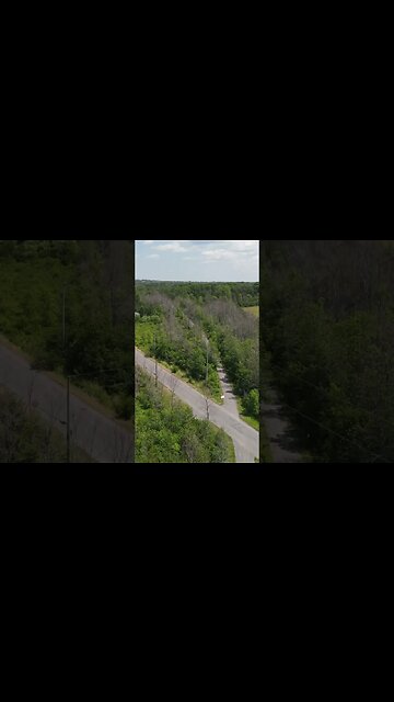 Millennium Trail Fox Encounter?