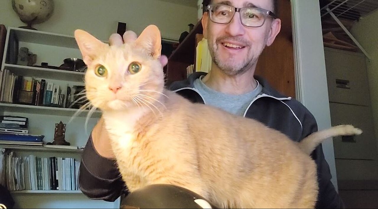 Flipper the Cat, Ep. 11, Flipper's Curiosity about Smells