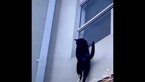 Mission Impossible