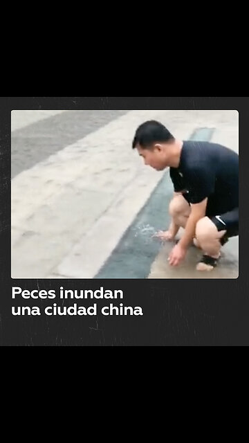 Las calles de una ciudad china se llenan de peces