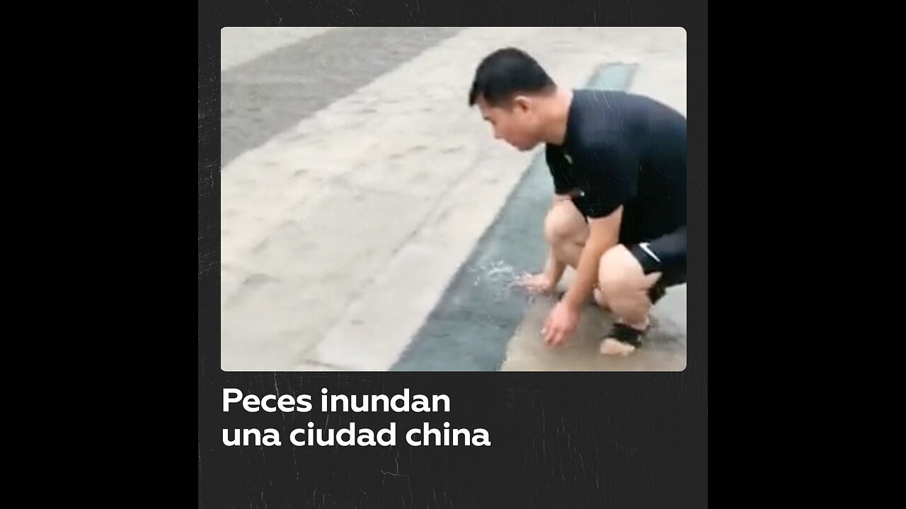 Las calles de una ciudad china se llenan de peces