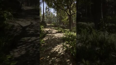 Realistic Forest Walk #shorts