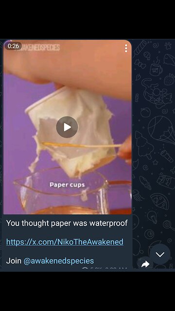 Documentary: Paper Plastic Cups