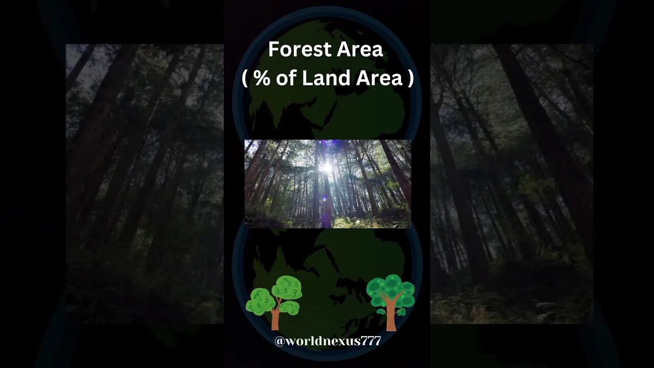 Forest Area | #viral #shorts #youtubeshorts #trending #forest