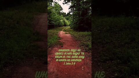 ‭‭1 John‬ ‭2:6 #bible #Jesus #God #Lord #christian