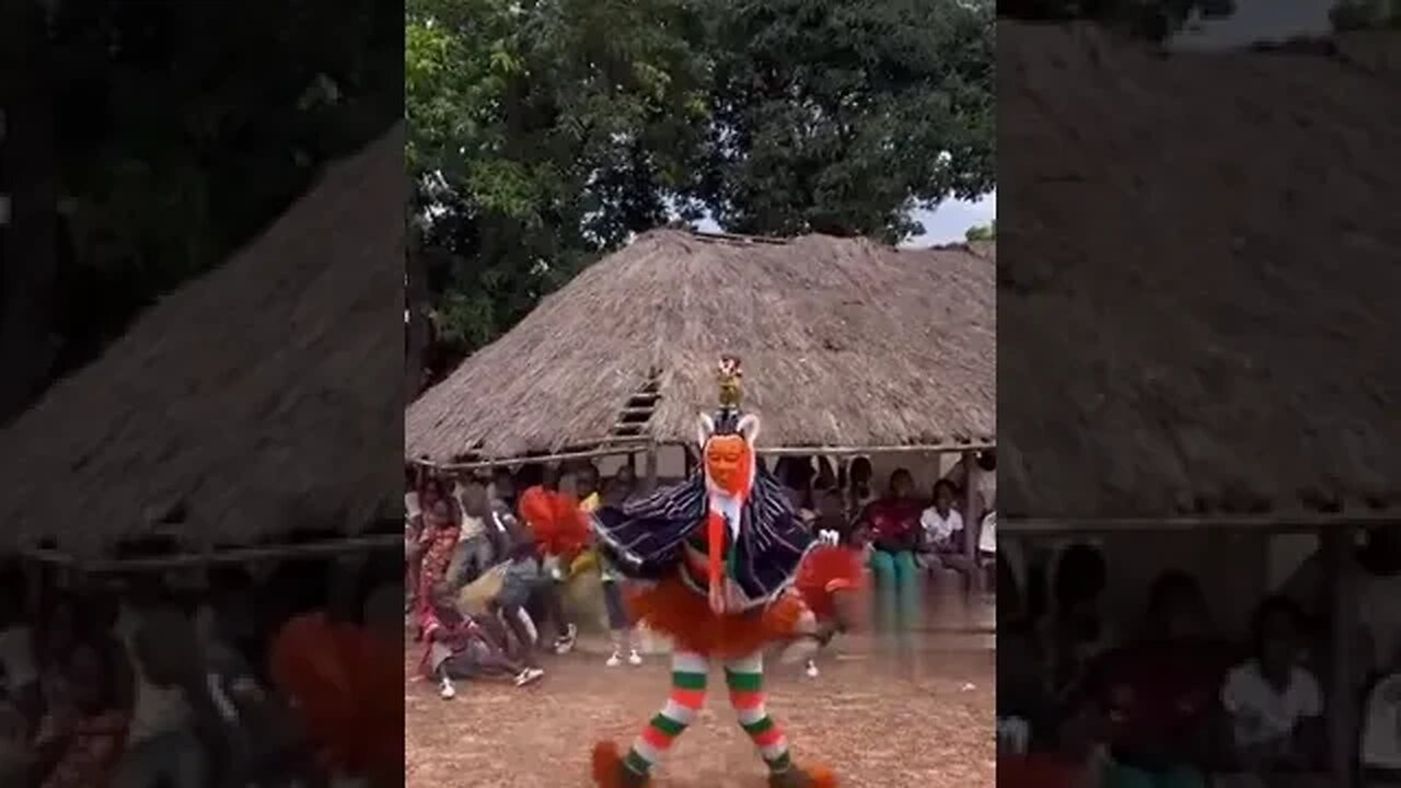 The Zaouli mask dance is no joke!