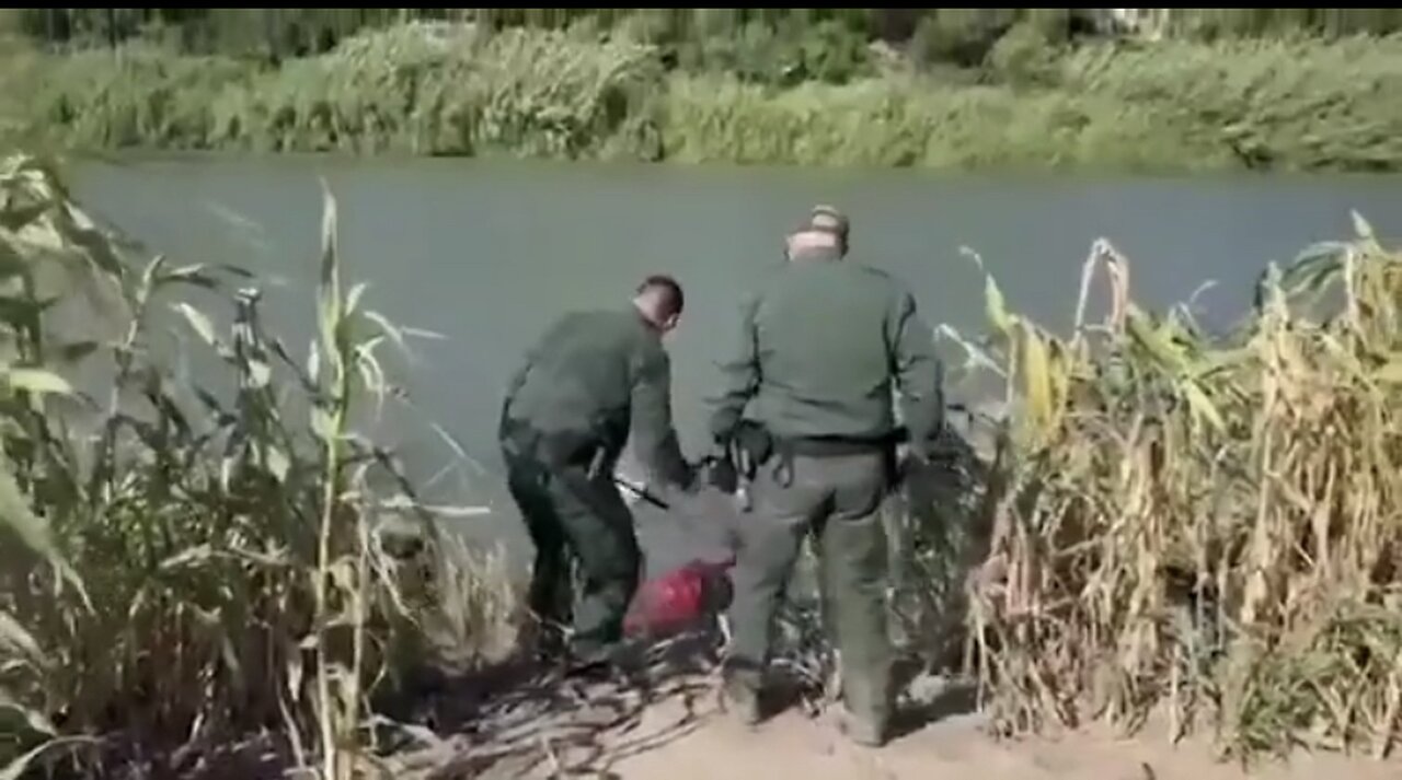 Border Patrol taking down barb wire they erected to allow illegals into our country…Traitors!