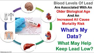 Home Water Filter Use Is Associated With Less Lead In Blood