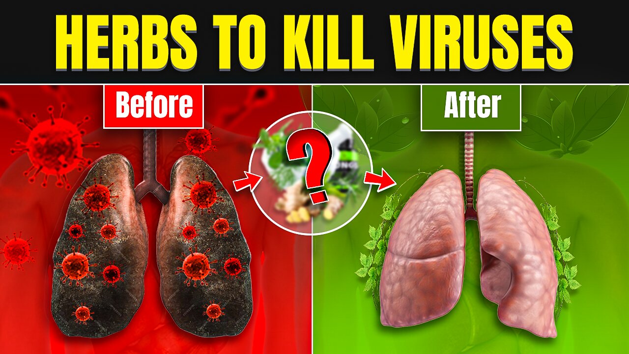 Top 10 Herbs for Lung Health, Clearing Mucus, COPD, and Killing Viruses