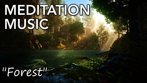 Music for meditation with ambient forest sounds