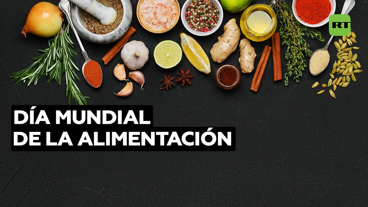 Día Mundial de la Alimentación: los conflictos agravan la falta de recursos que afecta a millones