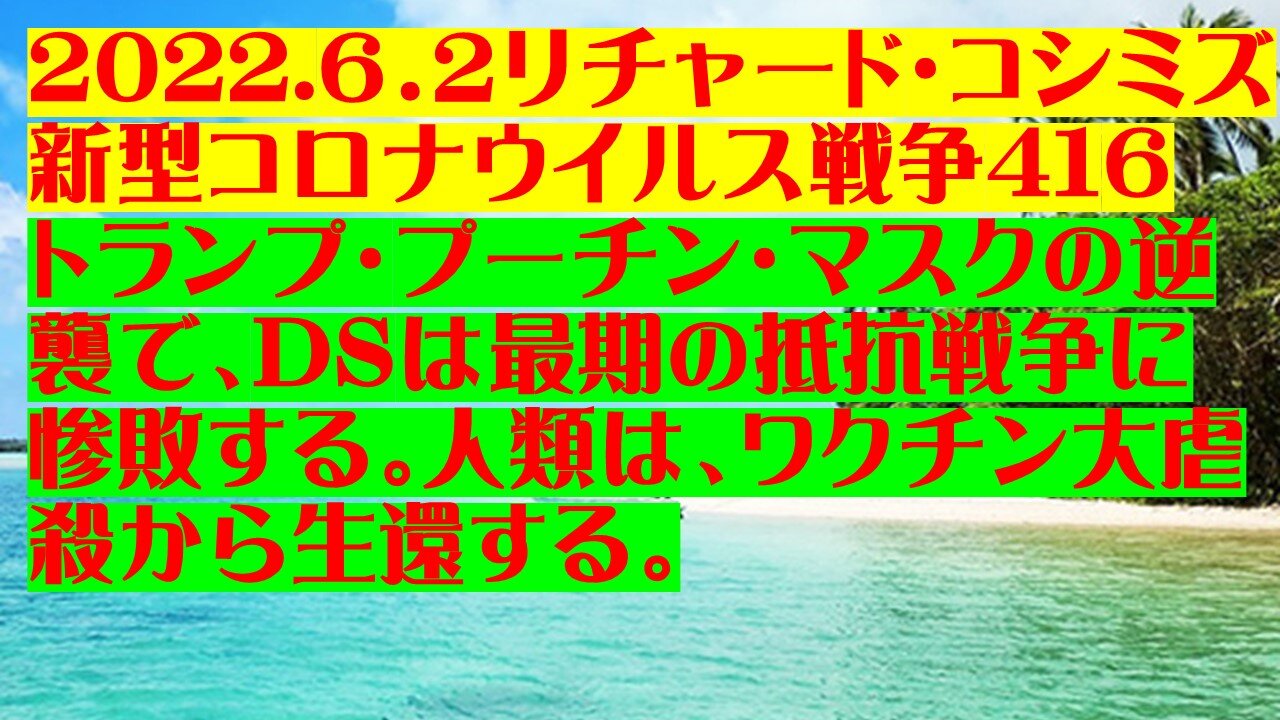 2022.６．２リチャード・コシミズ新型コロナウイルス戦争416