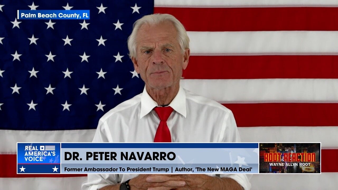 Peter Navarro: Come November We Have To Take Back The Senate