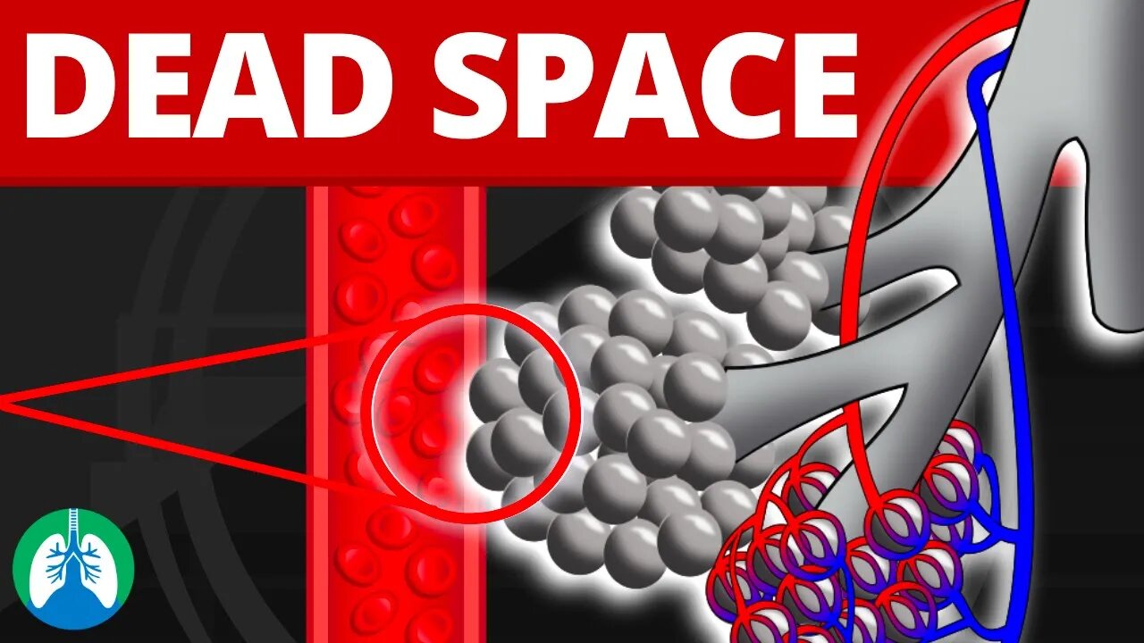 Alveolar Dead Space (Medical Definition) | Quick Explainer Video