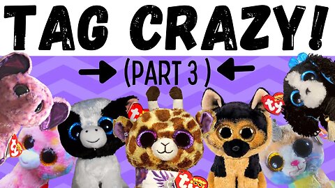 Beanie Boos Do What Their TAG Says 😲 | ✨Part 3✨ | Beanie Boo Safari💜