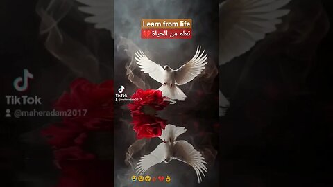 #الحياة_الواقعيه #sunrise #الامل #يوم_جديد #الحب #love #flowers #birds